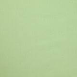 Jean's flexible cotton dany anise water green