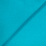 Turquoise thick minkee fabric