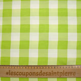 Vichy woven-dyed polyviscose 30 mm white and apple green