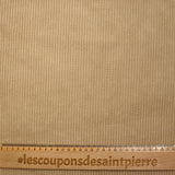 Velours polyester côtelé biscuit