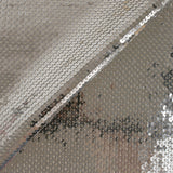 Silver sequins on nude mesh
