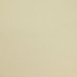 Ecru viscose twill