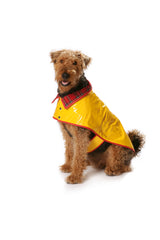 Boss n ° 7752: dog coat