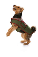Boss n ° 7752: dog coat