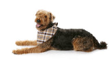 Boss n ° 7752: dog coat