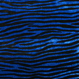 Jersey de terciopelo de cebra negro y azul eléctrico