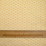 Dentelle fleurs ivoire