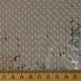 Silver sequins on nude mesh