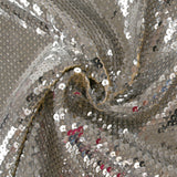 Silver sequins on nude mesh